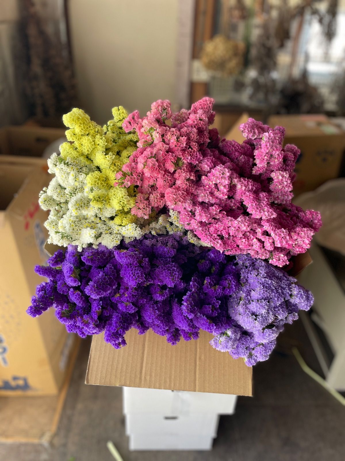 スターチス ニュアンスmix 80→100本増量中 - メルカリ