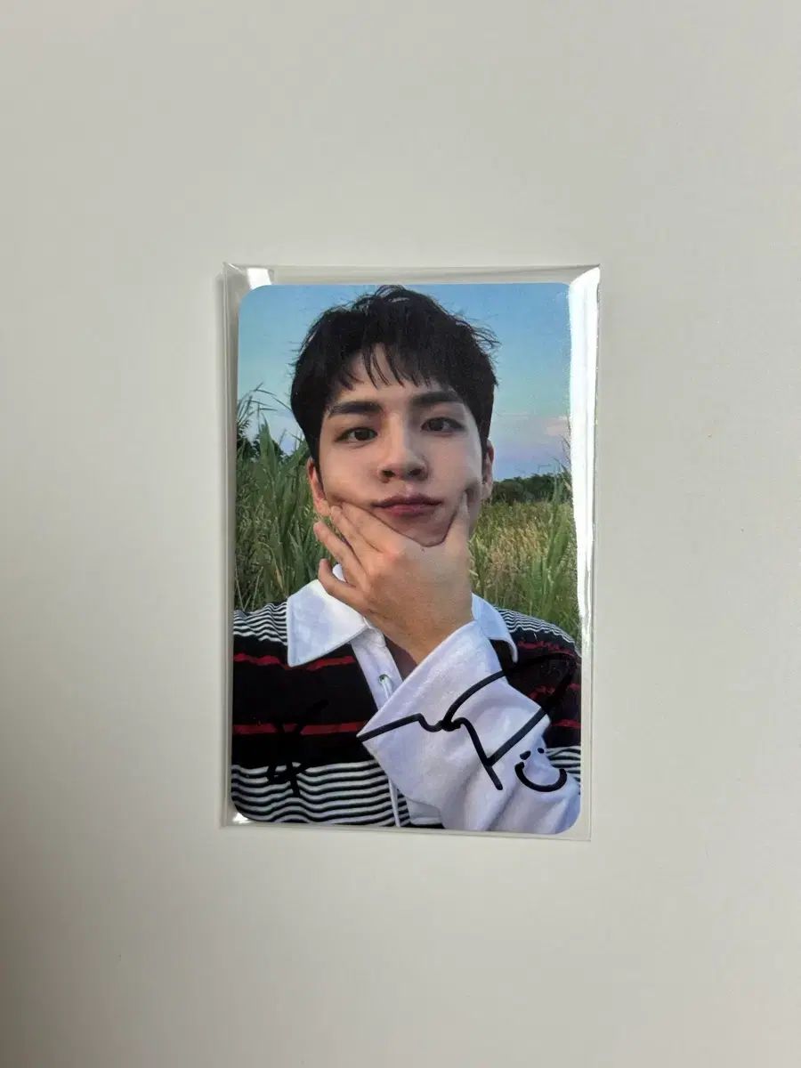 DAY6（デイシックス） Band Aid ウォンピル(WONPIL) サイン入り トレカ