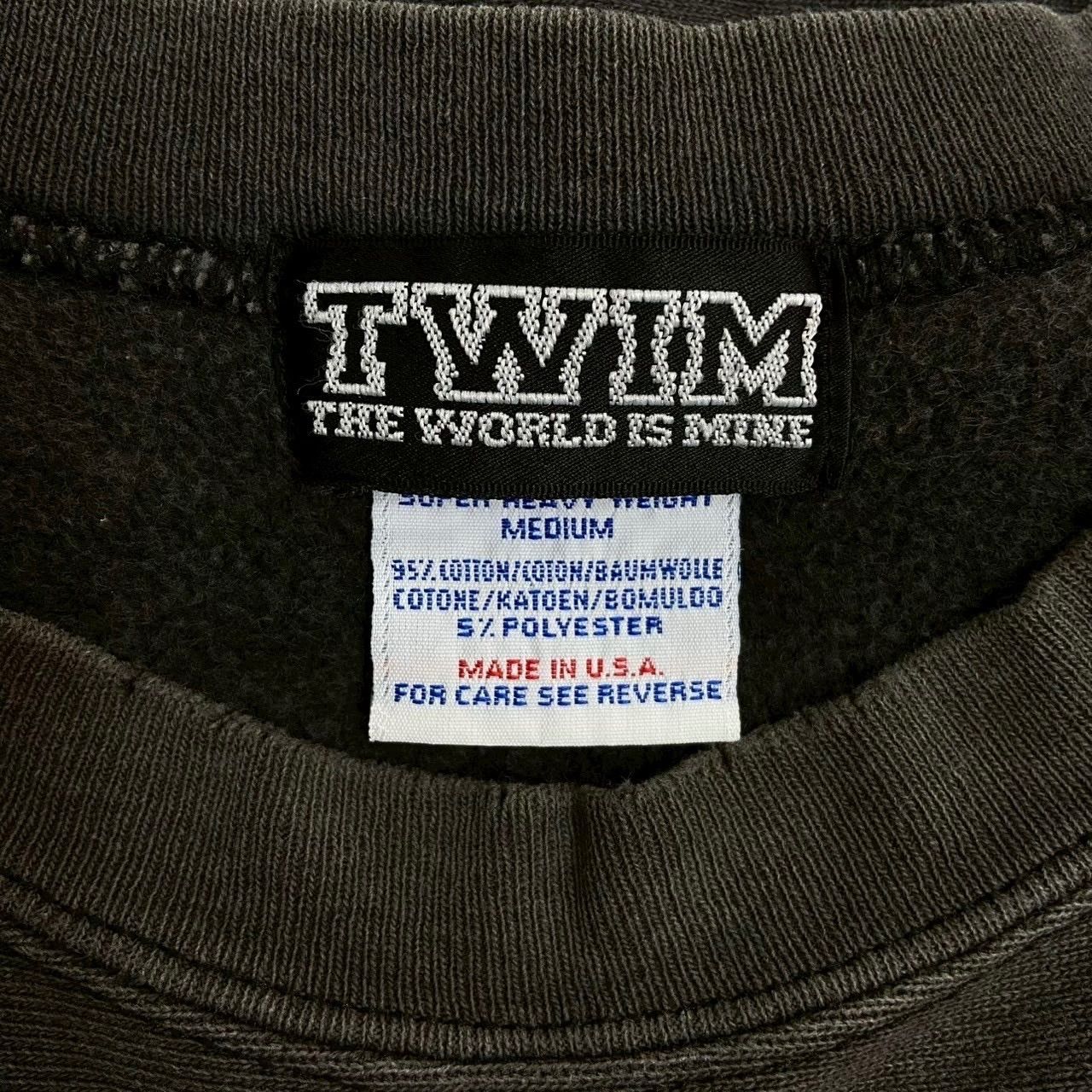 TWIN THE WORLD IS MINE 90s UNITED SPORTS ボディ 米国製 USA製 SUPER 