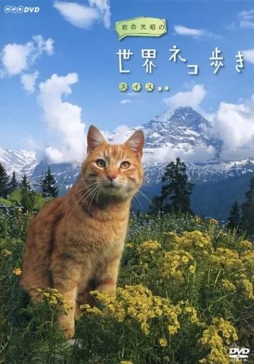 中古】その他DVD 岩合光昭の世界ネコ歩き スイス - メルカリ