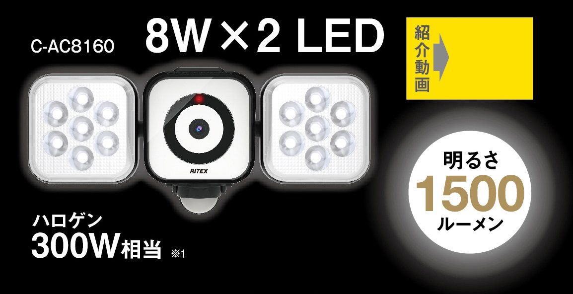 新品 ムサシ RITEX フリーアーム式LEDセンサーライト防犯カメラ(8W×2灯