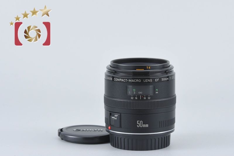 彫刻家 木聴奄 潮田皓哉作 鷹 置物 約4.3㎏ 共箱 M R8555B 【公式通販】