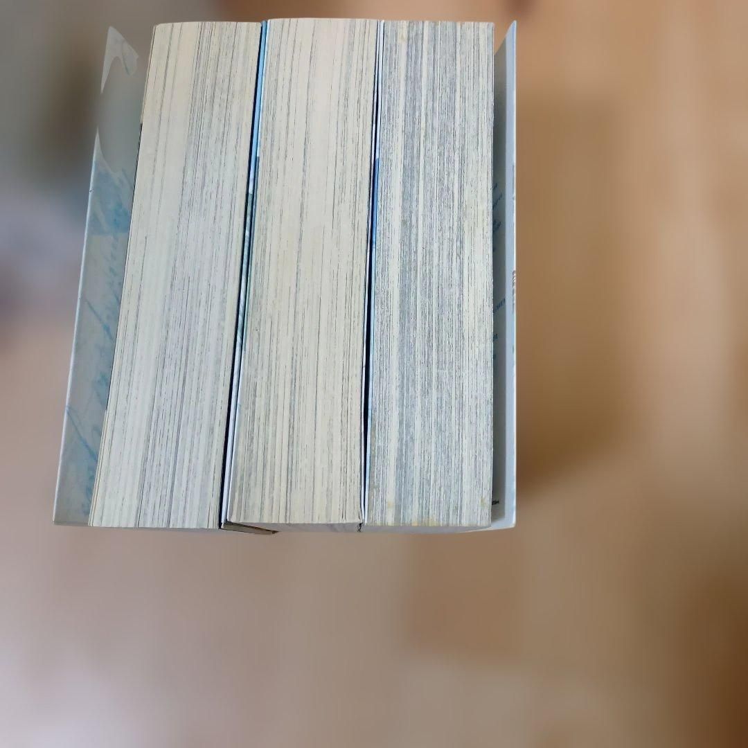 神々の山嶺(いただき) 谷口ジロー 全巻セット - メルカリ