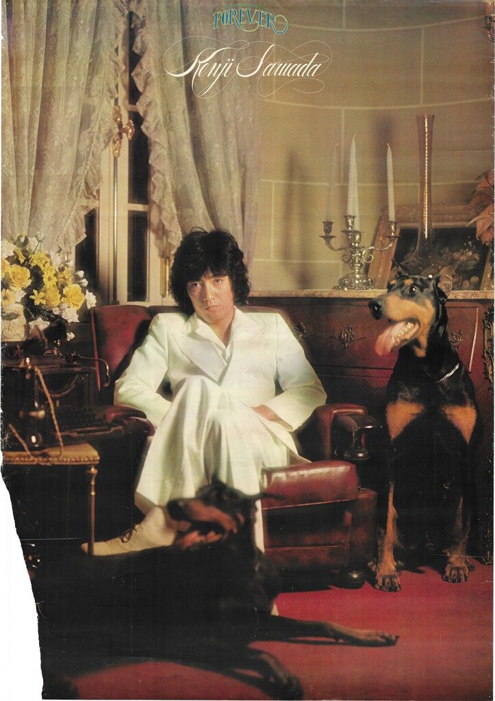 特典用 沢田研二 BEST SELECTION FOREVER A0ポスター - メルカリ