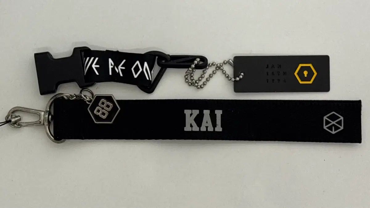 EXO カイ ネームタグ + メタルキーホルダー (コンサート公式グッズ