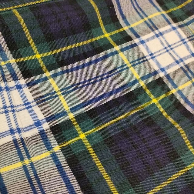 O'NEIL OF DUBLIN キルト ラップ プリーツ チェック スカート グリーン