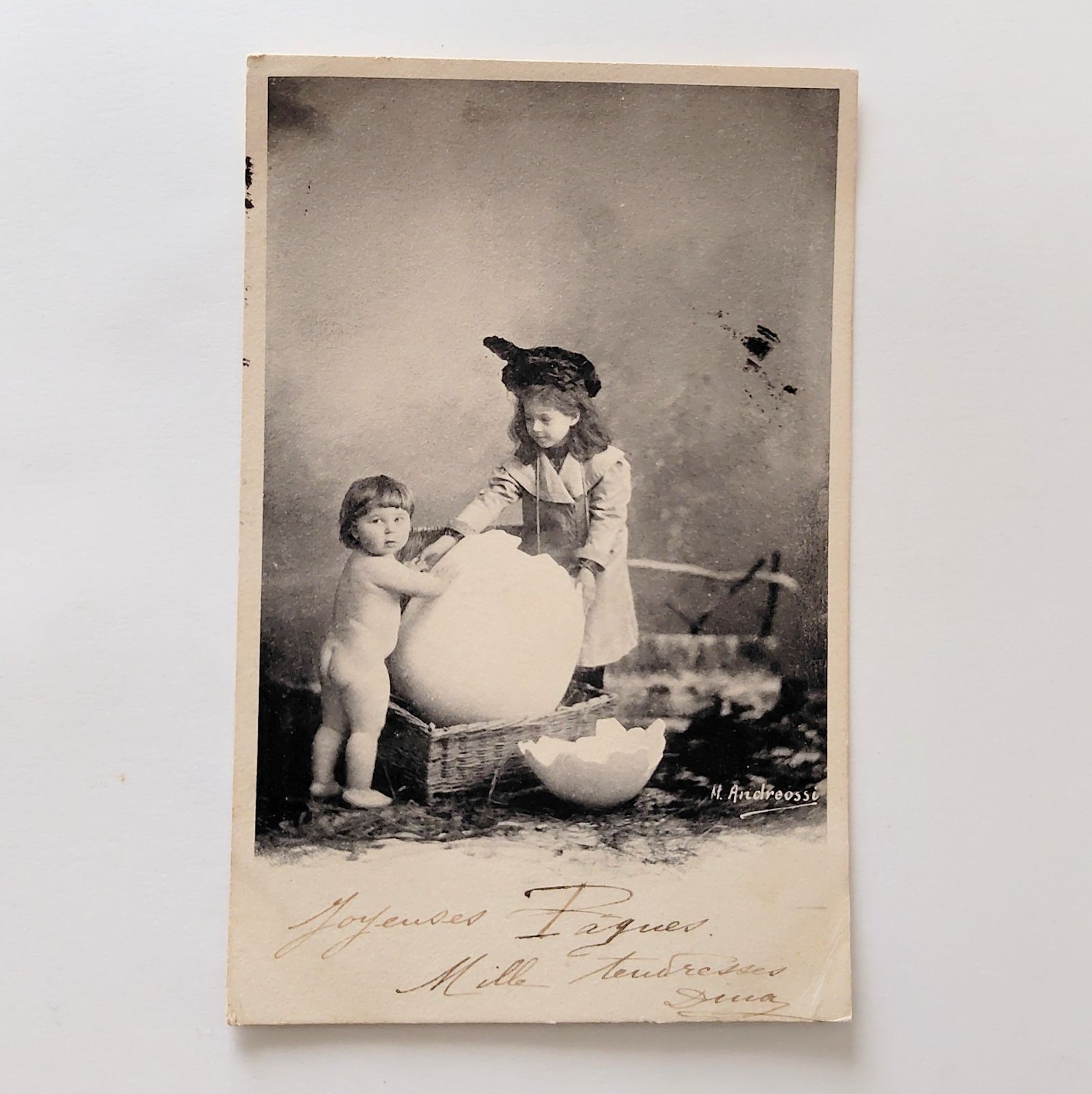 卵から歩き出した命 ― 少女に導かれた最初の一歩 フランス