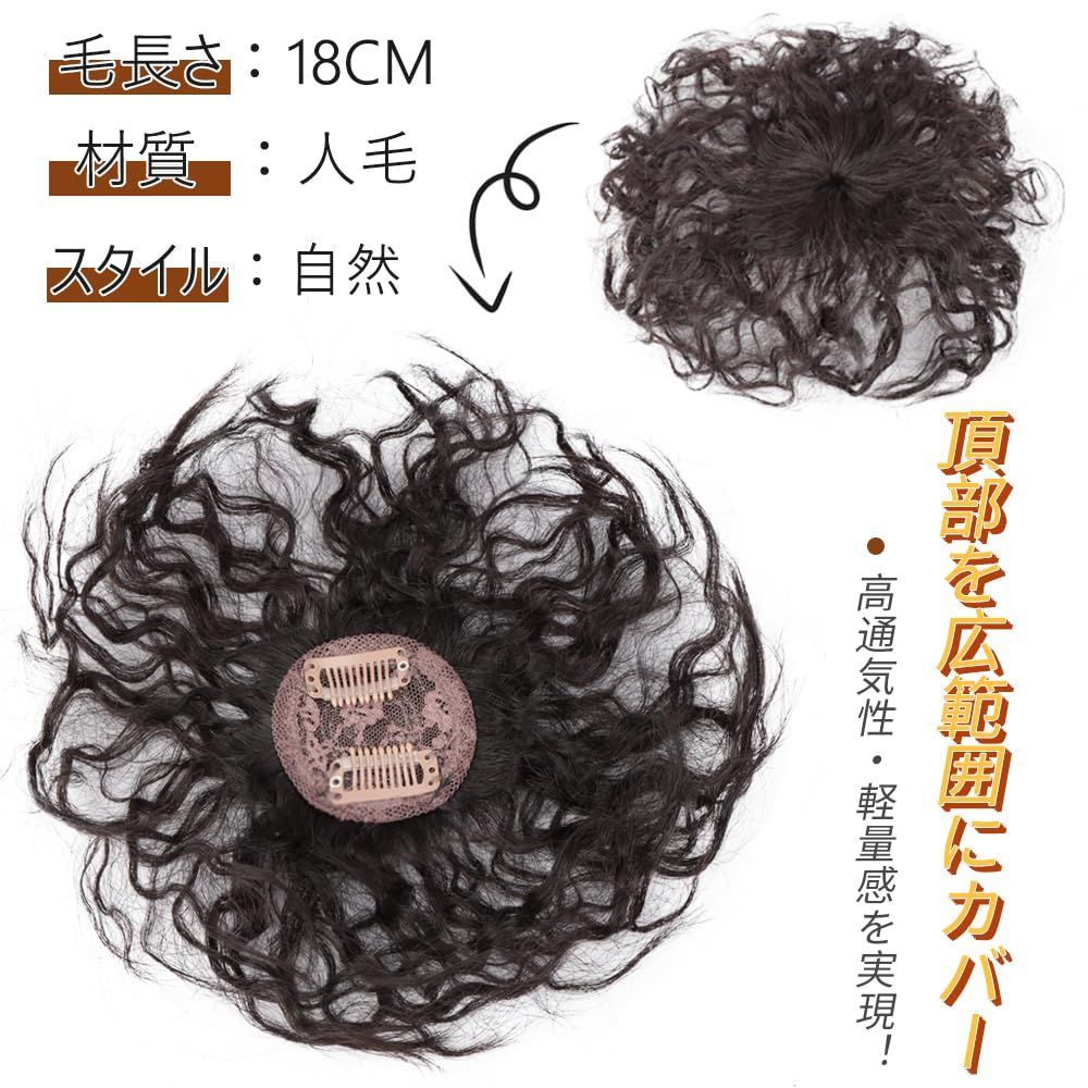 QIAOXI ヘアピース ポイントウィッグ 総手植え 黒いネット つむじ