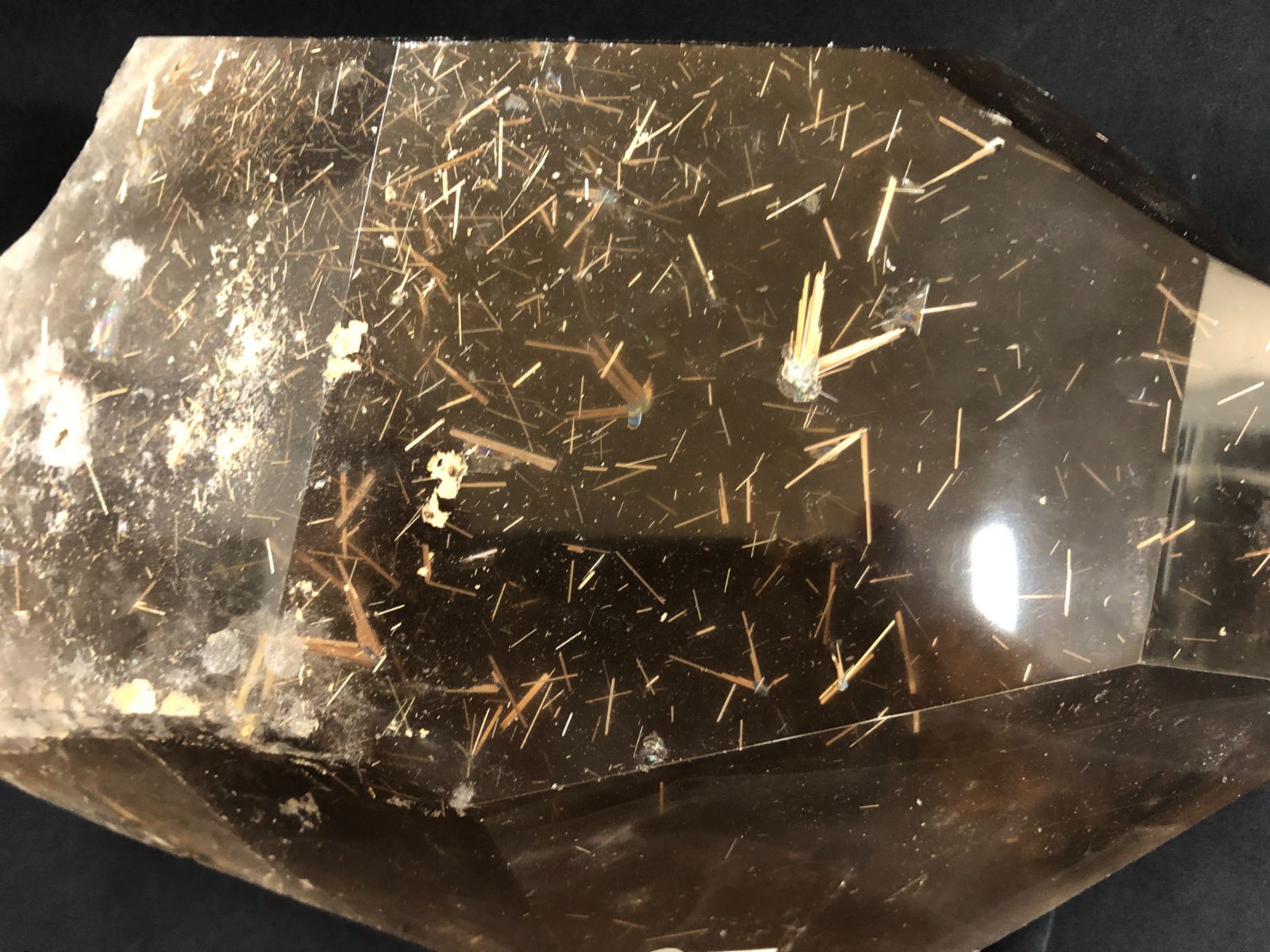 スモーキールチルポイント（ブラジル/G・VALADARES産） - メルカリ