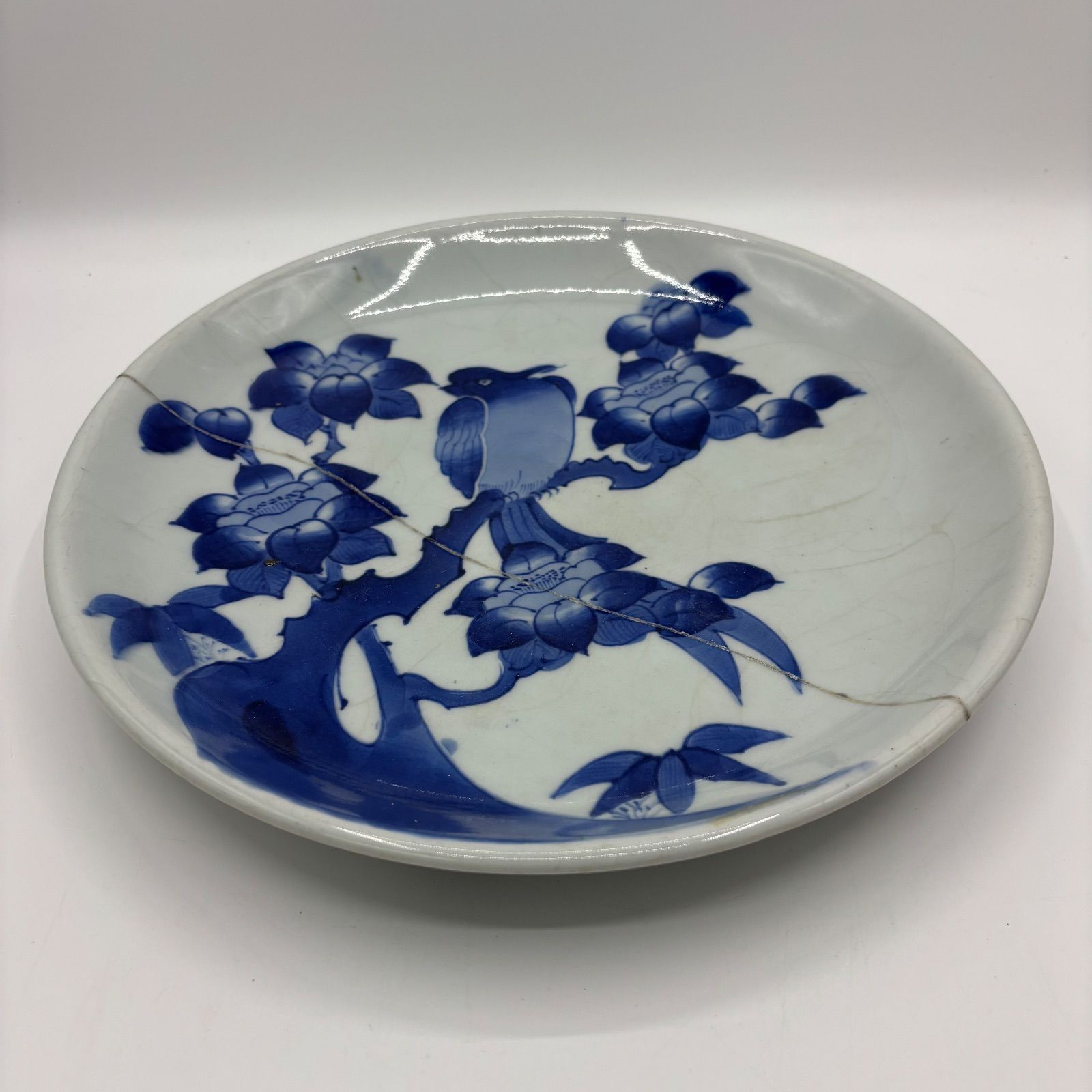 古伊万里　青華　牡丹　志田窯　明治　骨董　箱入り 古伊万里 青華 牡丹 志田窯 明治 骨董 箱入り 【公式通販】