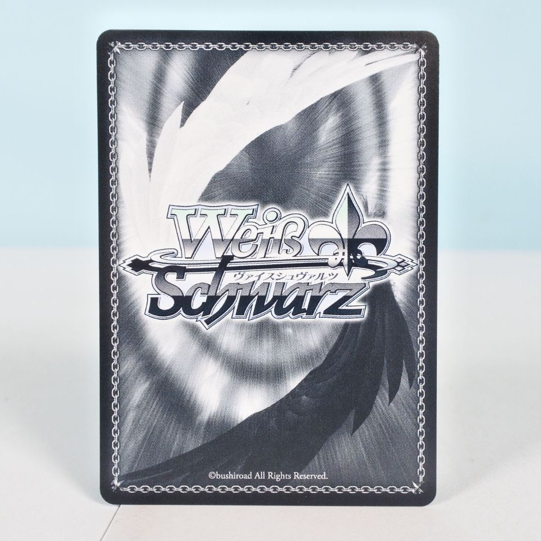 大清水54-1-0118】ヴァイスシュヴァルツ プロセカ これから先もずっと