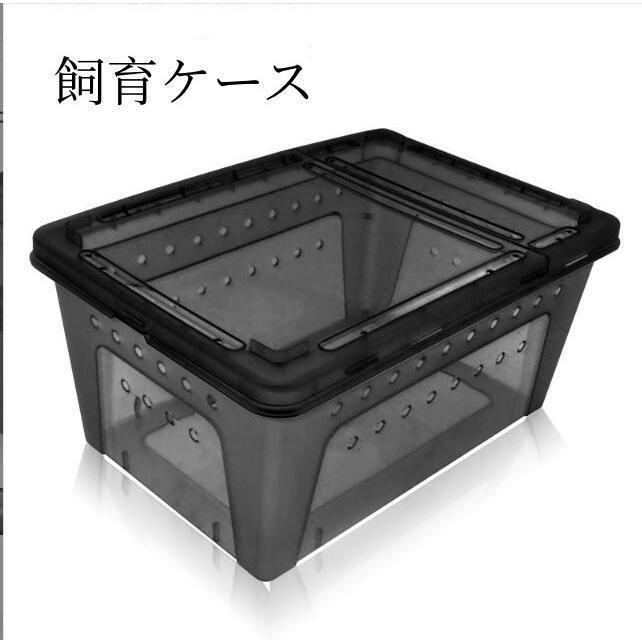 【新品?未使用】 飼育ケース 飼育ケージ 飼育容器 大 Lサイズ たらい付き 台付き 隠し室付き カブトムシ クワガタムシ 2色 昆虫 透明 虫篭