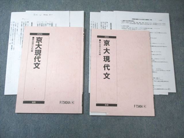 駿台 京大現代文 テキスト通年セット 2024 計2冊 中野芳樹 010m0D