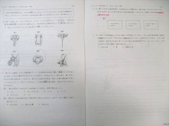 日能研 小4 学習力育成テスト ステージII 2023年2月～7月 国語/算数
