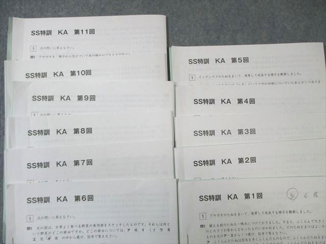 【SAPIX】サピックス 6年 SS特訓 理科・社会 開成コース 小6 2024受験SAPIX サピックス6年国語単科SS 2024年度入試用 6年 国語