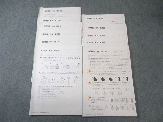 SAPIX 小6 サピックス 開成コース SS特訓 理科 【全11回分フルセット