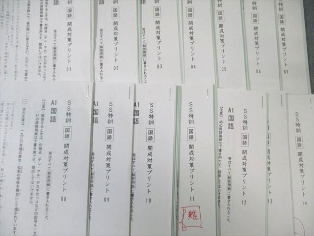 SAPIX 小6 サピックス 開成コース SS特訓 国語 【全14回分フルセット