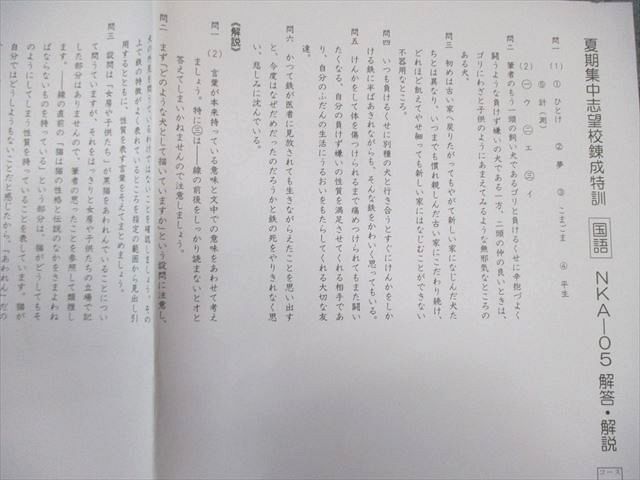 SAPIX 小6 サピックス 夏期集中志望校錬成特訓 国語 【計5回分】 通年