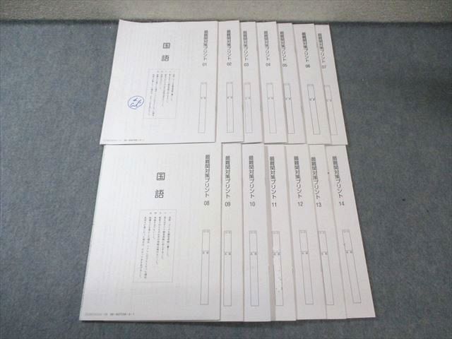 SAPIX 小6 サピックス 最難関対策プリント 国語 【計14回分】 通年