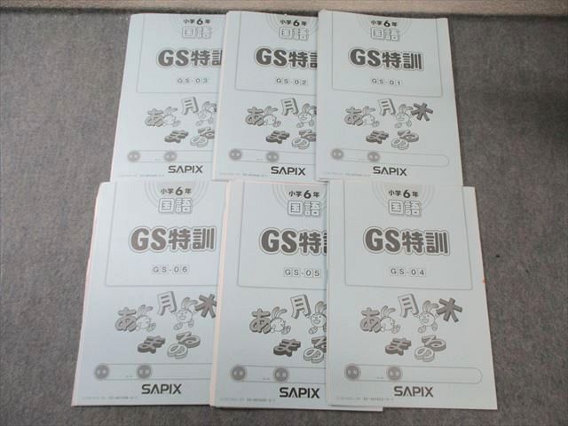 SAPIX 小6 サピックス GS特訓 国語 【計6回分】 通年セット 2022