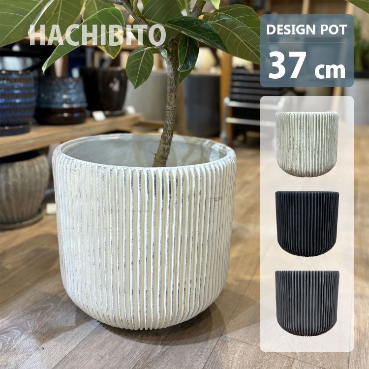 羽箒 茶道具 茶道 t 風炉用 唐君鳥 右羽根 tz05-001 注)画像は見本です