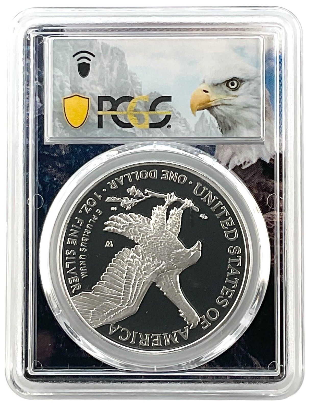 2022 W 1オンス シルバー イーグル プルーフ PCGS PR70 DCAM