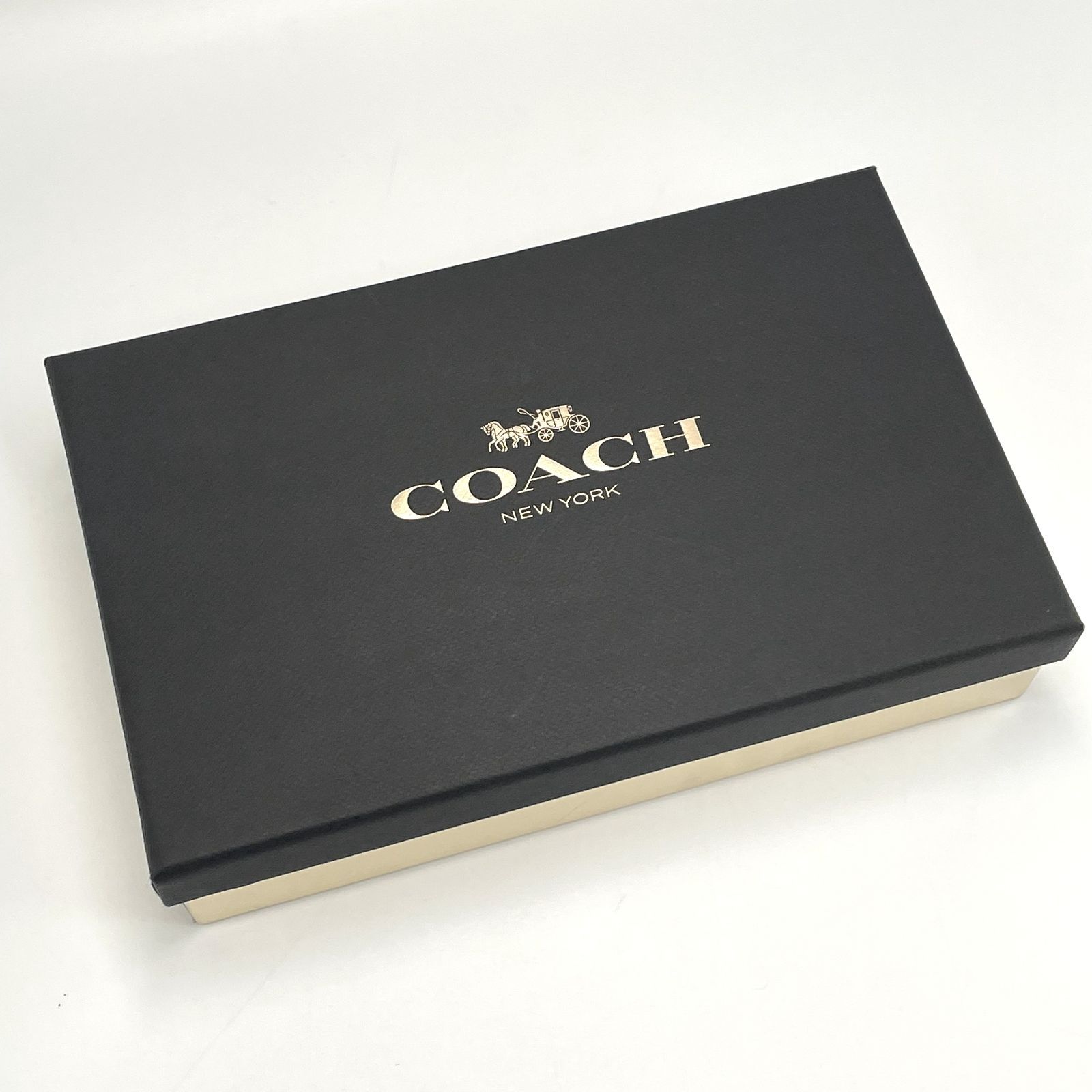 夜空モチーフのエレガントポーチ】COACH コーチ スター グリッター 