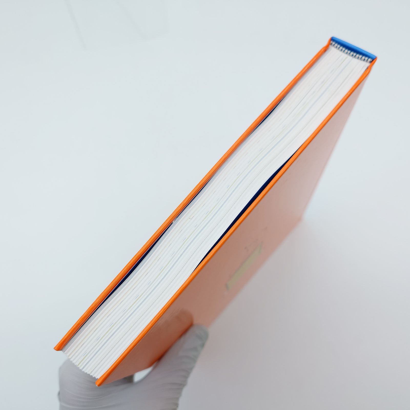 7 こぐまちゃんとしろくまちゃん 絵本作家・わかやまけんの世界 展覧会