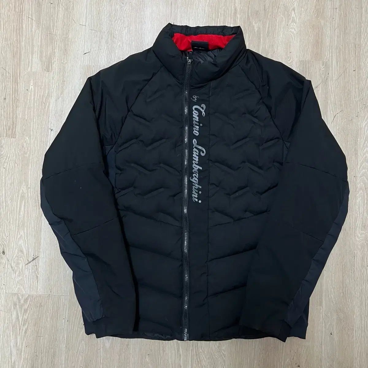 トニーノ ランボルギーニ メンズ ダックダウン 軽量ダウン XL/105 
