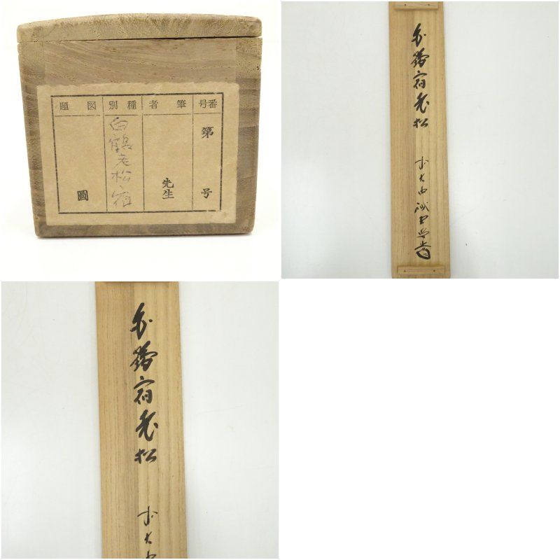 掛け軸 前大徳 藤井誠堂 「 白鶴宿老松 」紙本 希少 茶掛 茶道具 掛軸