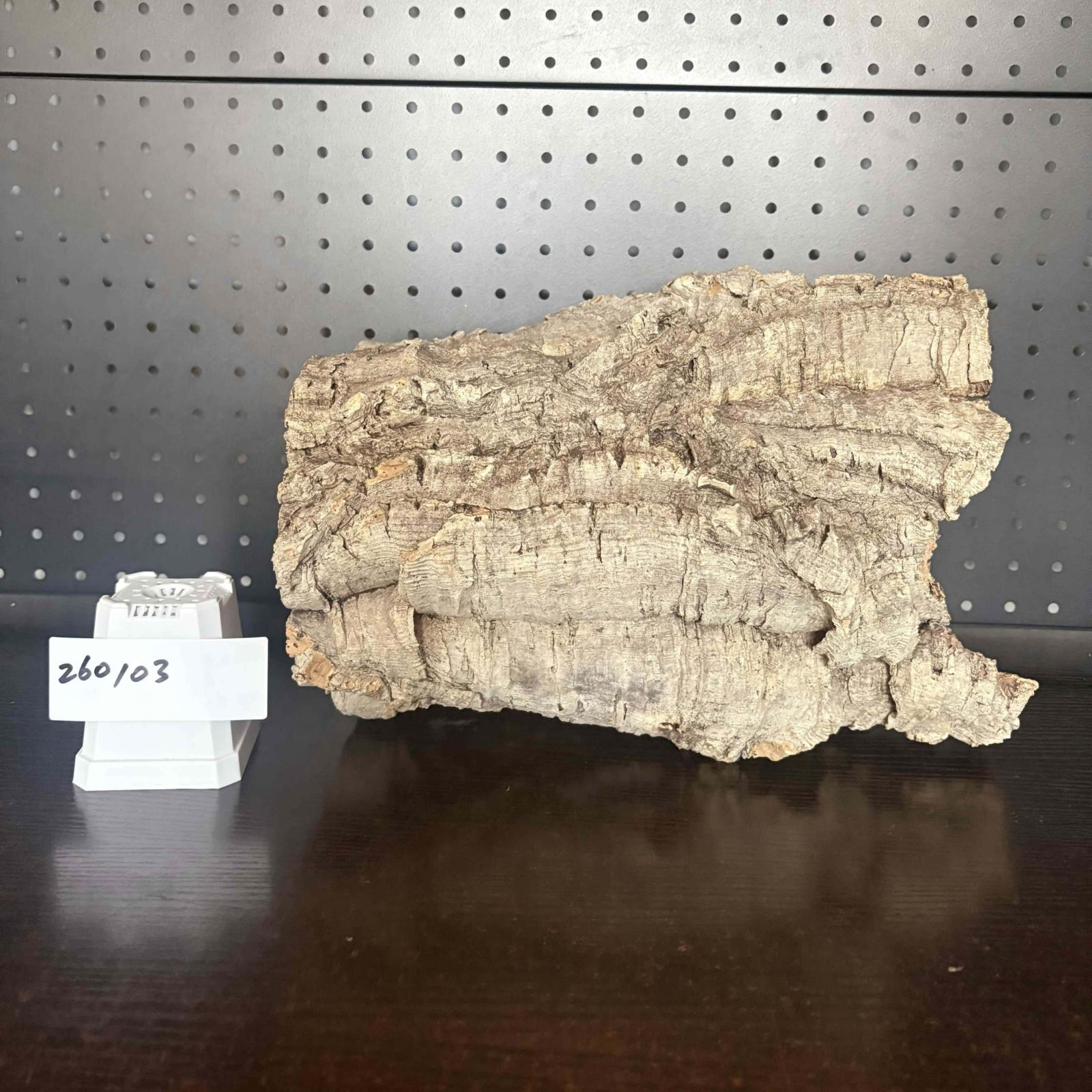 260103 ポルトガル産 キャノンコルク コルク樹皮 コルク板 バージン