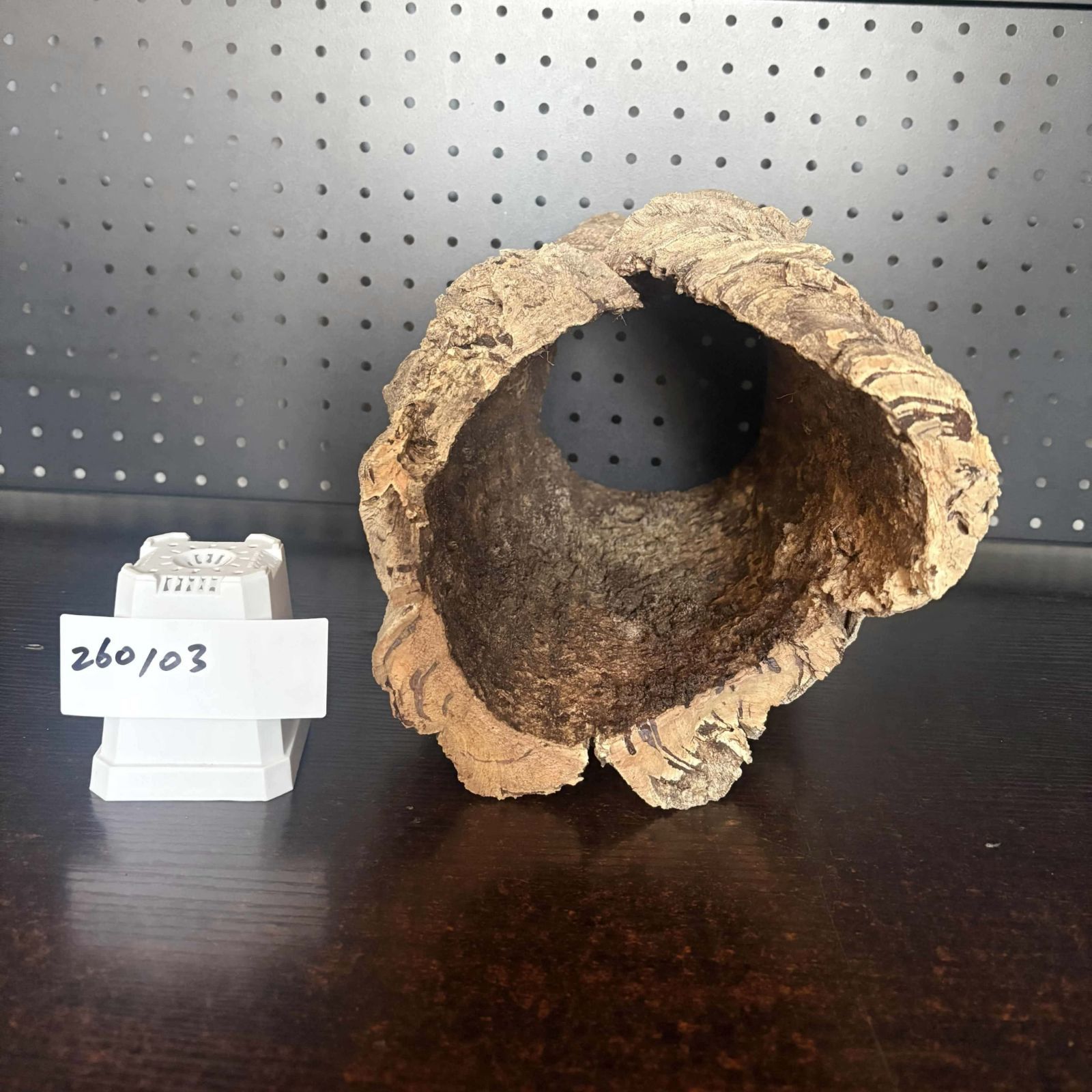 260103 ポルトガル産 キャノンコルク コルク樹皮 コルク板 バージン