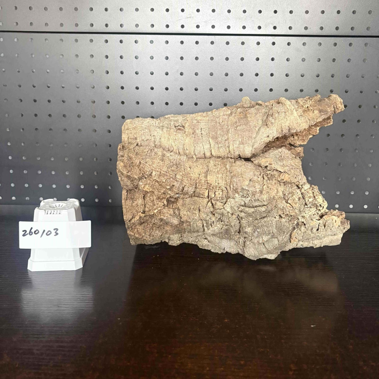 251026 ポルトガル産 キャノンコルク コルク樹皮 コルク板 バージン