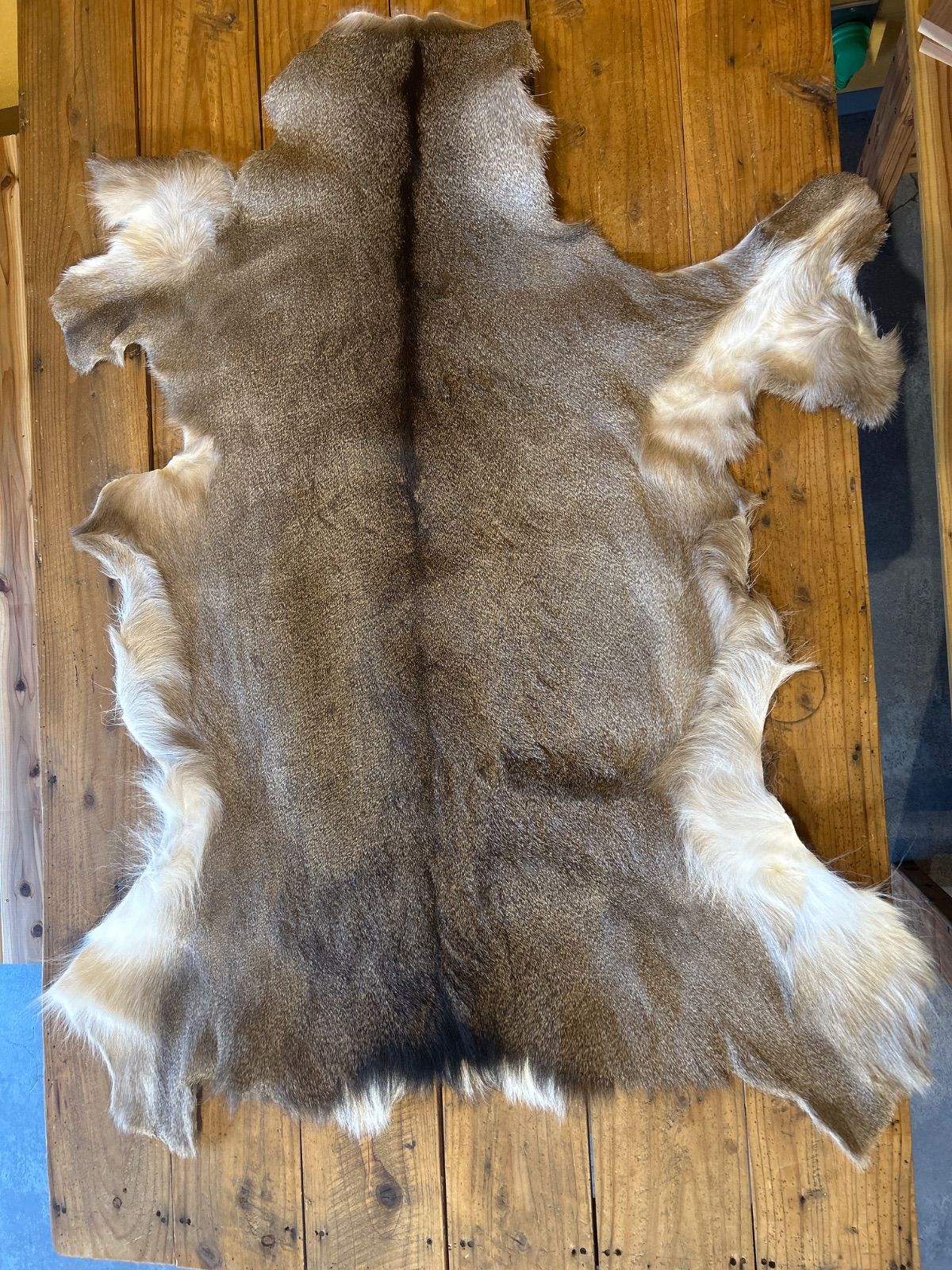 鹿皮 ラグ 毛皮 鹿の毛皮 ラグ敷物 毛革 鹿革 鹿7 ブッシュクラフト 野営 キャンプ