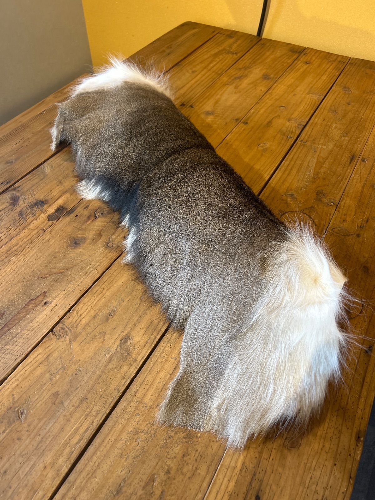 鹿の毛皮 ラグ敷物 毛革 鹿革 鹿7 ブッシュクラフト 野営 キャンプ