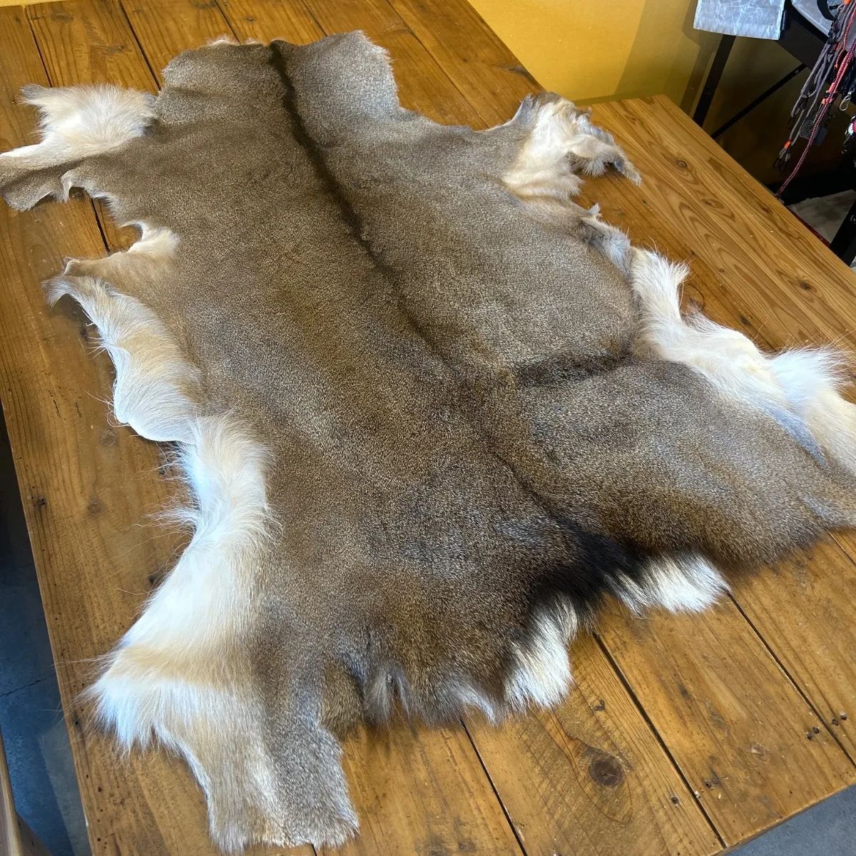鹿の毛皮 ラグ敷物 毛革 鹿革 鹿7 ブッシュクラフト 野営 キャンプ