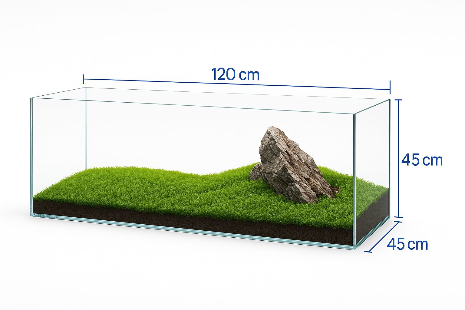 水槽　120CM 専用品　W120×D45×H45 厚み10mm 水槽120CM HS-120-1204545 厚み10mm - メルカリ