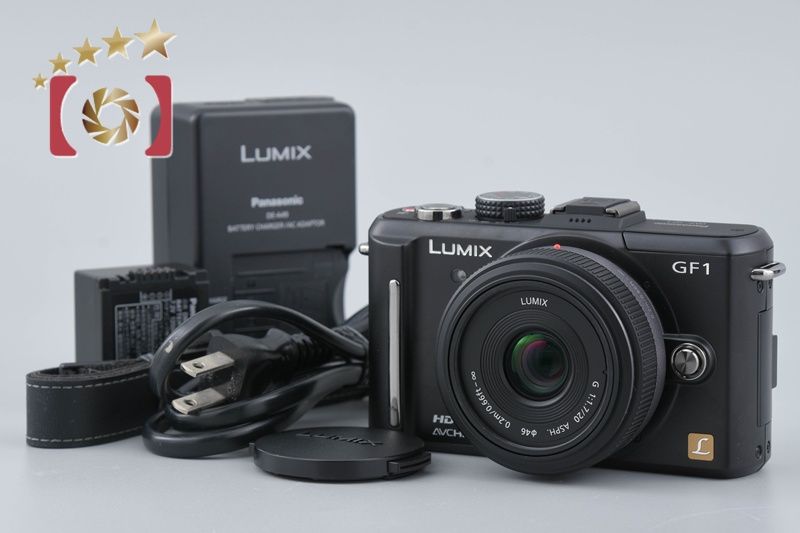 LUMIX Panasonic パナソニック レンズキット DMC-GX1X H-PS14042