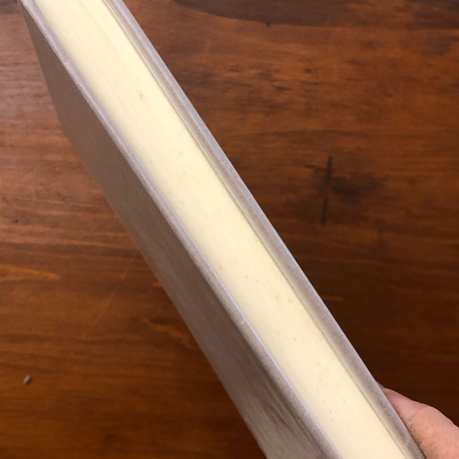 永井龍男 限定版 秋 その他 限定版 秋 その他 永井龍男 講談社 昭和56年1月30日発行 ☆サイン入り