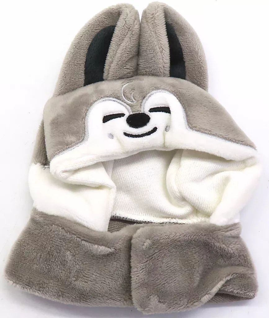 StrayKids　ペンライト　バンチャン　セット StrayKids ペンライト バンチャン セット Stray Kids 2nd World Tour