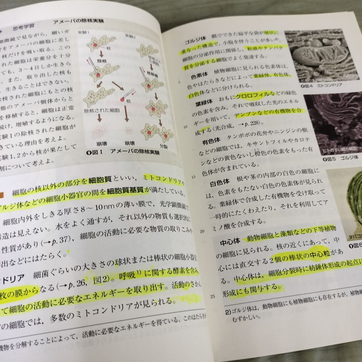 中古] 高等学校 生物? 教科書 数研出版 平成18年 2002年 140049 - メルカリ