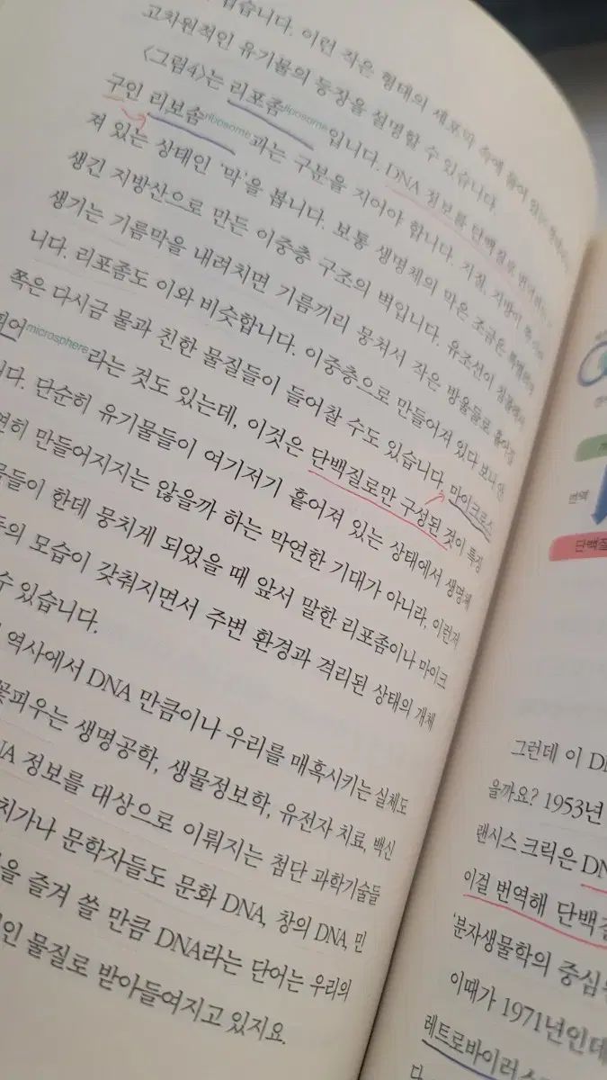 京熙大 BIGムーン 教材