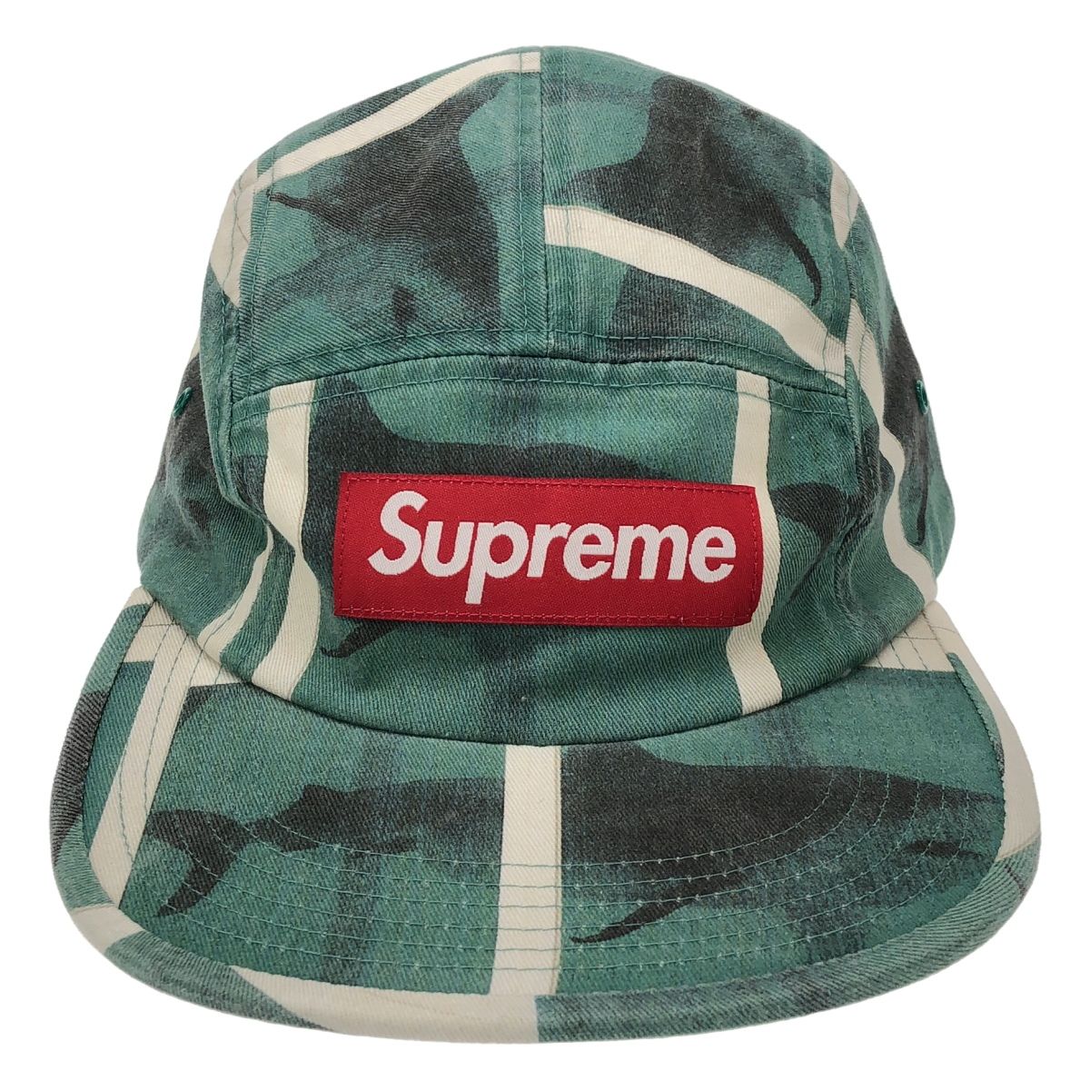 Supreme シュプリーム 25SS Damien Hirst Camp Cap ボックスロゴキャップ  グリーン系 Supreme シュプリーム 25SS Damien Hirst Camp Cap ボックスロゴ