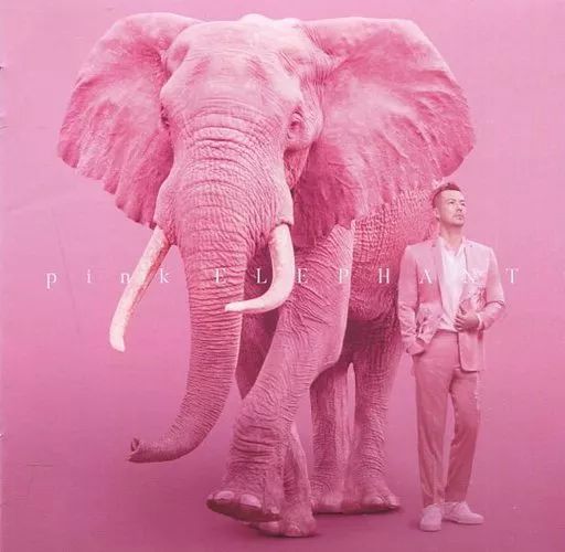 中古】邦楽CD 米倉利紀 / pink ELEPHANT - メルカリ
