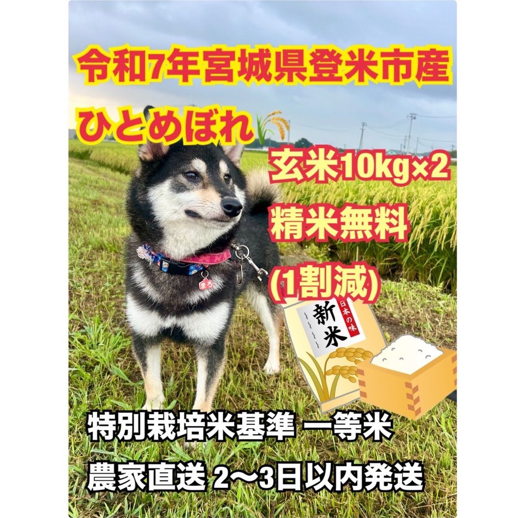 食品 農家直送！！令和7年度 ひとめぼれ玄米 20kg