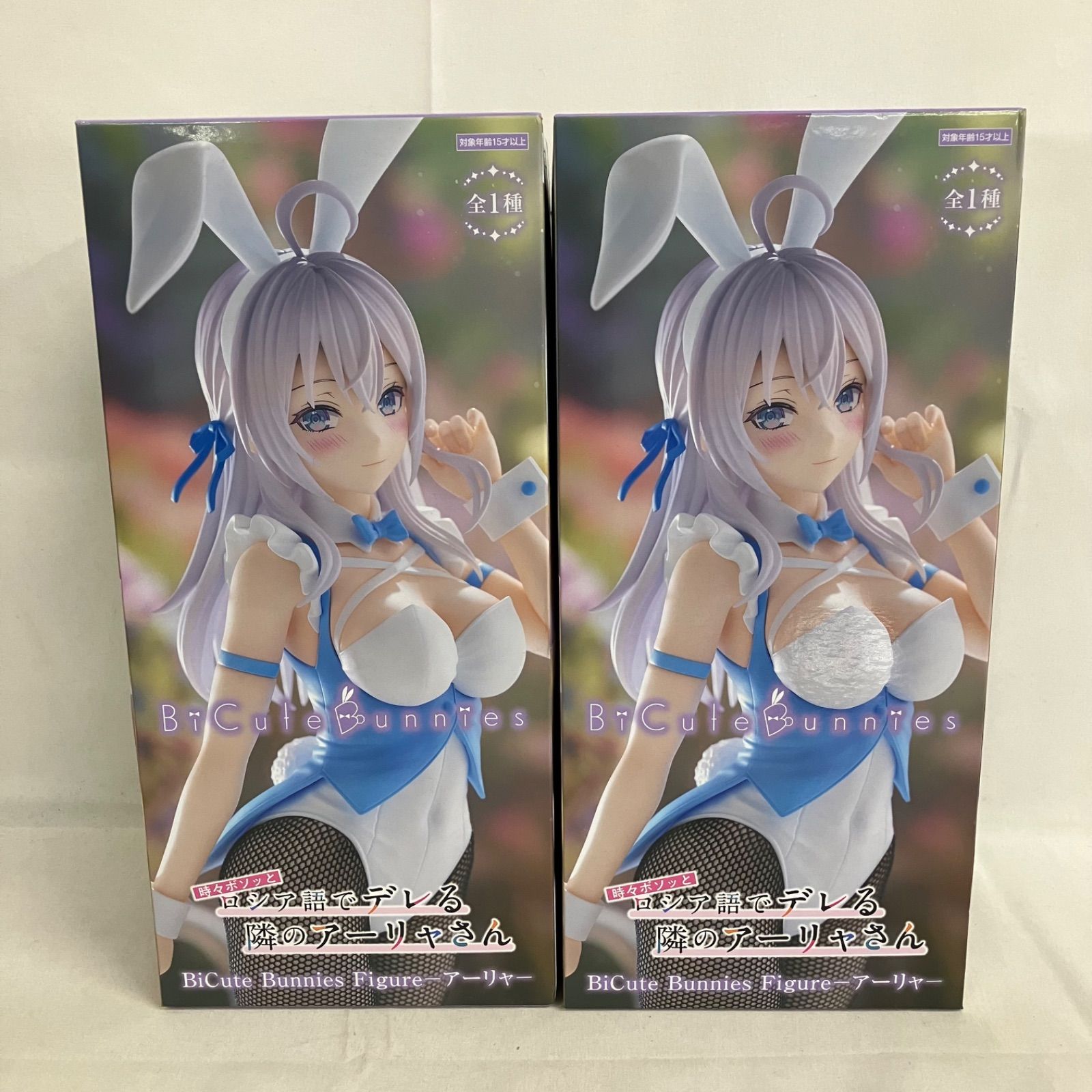 未開封 時々ボソッとロシア語でデレる隣のアーリャさん BiCute Bunnies