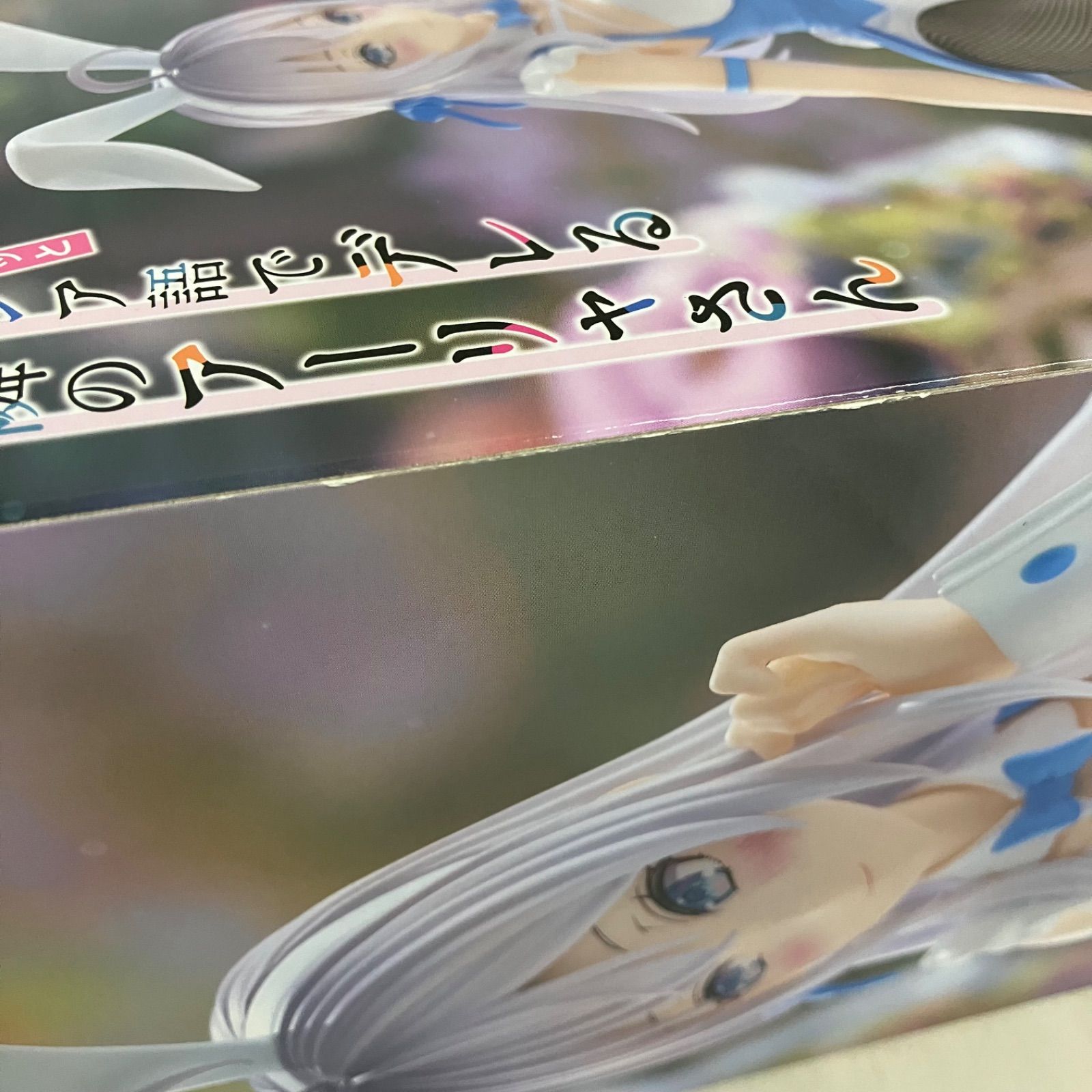 未開封 時々ボソッとロシア語でデレる隣のアーリャさん BiCute Bunnies