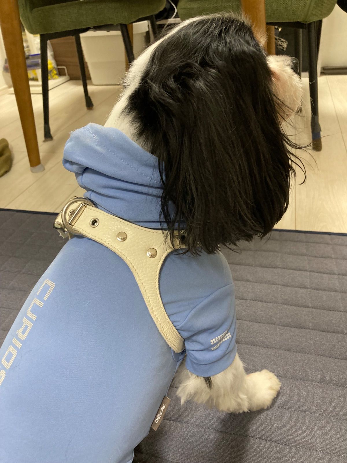 本革ハーネス 新品未使用 革職人ハンドメイド 5号 - メルカリ