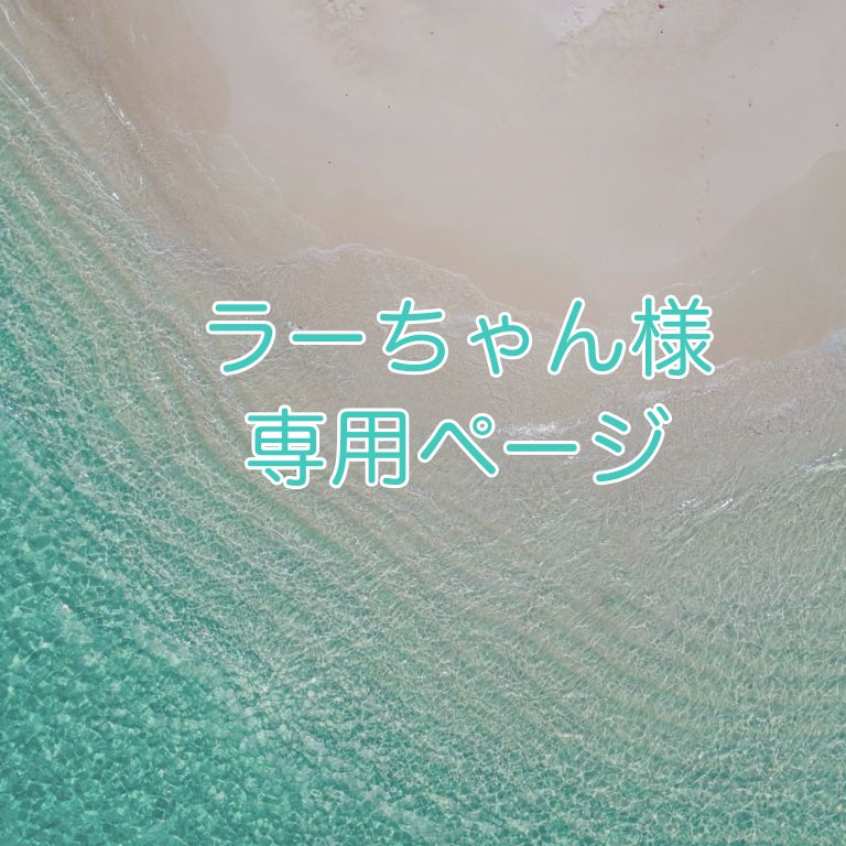 ラーちゃん様専用 【公式通販】 ラーちゃん様専用 【公式通販】