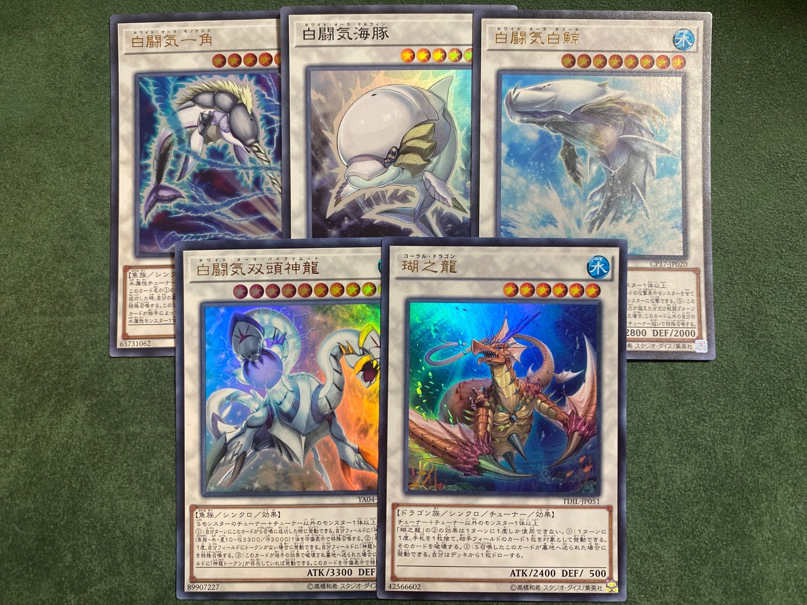 白闘気白鯨、白闘気海豚、白闘気一角、白闘気双頭神龍、瑚之龍 - メルカリ